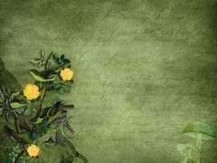 💌 Dear my friend Ethan