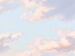 Lizet Lapiz Teradorris