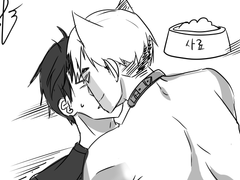 미야카게위주 카게른 도그플모음