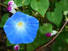 픽쟌? 이건 쟌셀쟌인듯