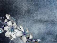 💌 Dear my friend Ethan