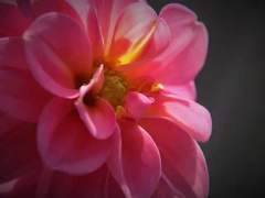 사랑하는 거 맞잖아