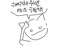 이솝베라/베라이솝