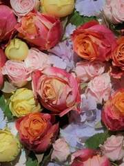 말할 수 없는 비밀