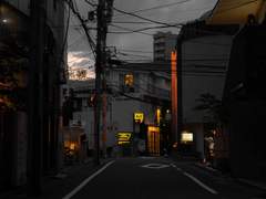 우리는 죽지 않았기 때문에.