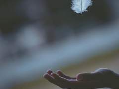 [현제유진] 날개가 생긴 사연