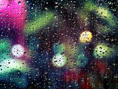 비, 그리고 당신