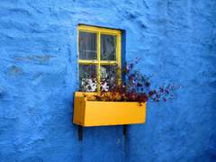 혓바닥 연애사정 中