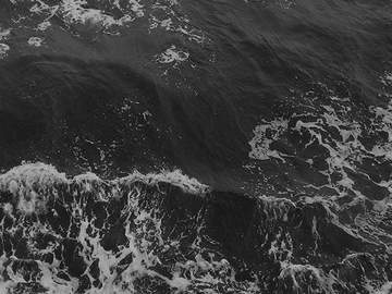 [크루즈 여객선]