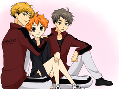 오란고교 미야히나