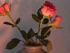 2. 가장 소중한 추억