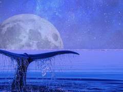 고래처럼 자유로이 날 수 있다면 얼마나 좋을까.