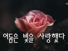 어둠은 빛을 사랑했다