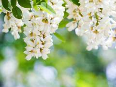 기침과, 가난과, 사랑은, #09