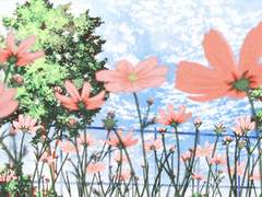 [하이큐 상황문답 | 고백] 그에게 고백을 했다 ver. 카라스노