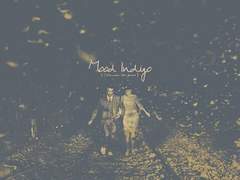 내 청춘의 영원한