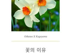 [오이카게] 꽃의 이유 Epilogue.