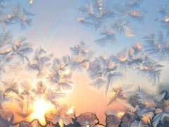 빙화 氷花 05. Flightless bird, American mouth.