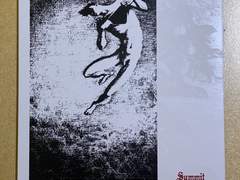 (日記) THOU - SUMMIT