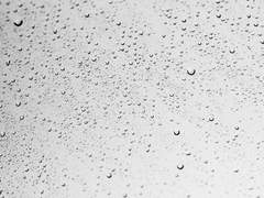 비 오는 풍경을 먹으로 그린다면.