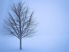 멸망한 세계의 기록자 1