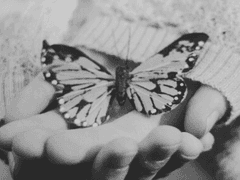 좀비 아포칼립스 au