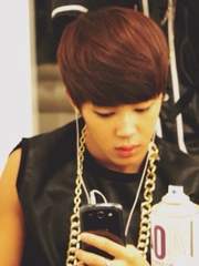 지붕 위의 고양이