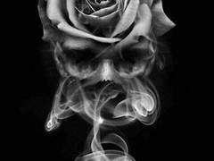 나는 네 향에 도태되어 숨을 쉰다