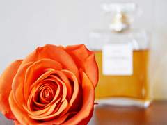 [부른 향수 합작]향기