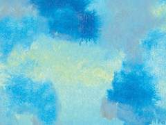 숲뱃/콘팀/슨딕