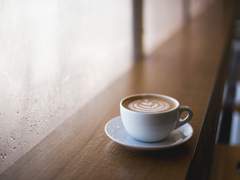 해광시의 한 여우