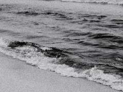 우리는 무엇으로써 사랑을 했다 외전