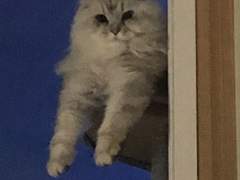 하트시그널 시즌3