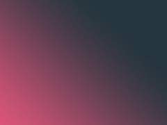 공통점, 차이점