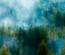 [완결] 물의 정원 추천 W.찐찌니