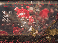 야수의 신부 이야기