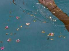 프레이야, 아니 죽음을 몰아넣은 게 너니?