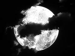 𝘿𝙚𝙫𝙖𝙢 𝙚𝙩, 𝙃𝙚𝙡𝙚𝙣𝙖 𝘼𝙮𝙗𝙚𝙧𝙠