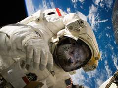 To save a work path ...