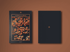 casablanca sweetheart