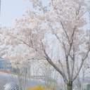 현제판타지소설