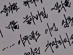 빨고 만지고 핥아도