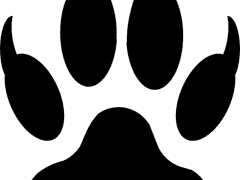 [노아유셒] 적랑흑호