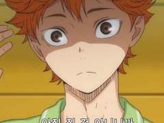 짐승들사이에토끼?9