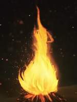 짤막짤막한 것들