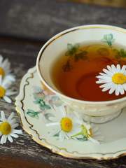 [해리포터]드레니아