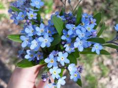 [드레팬시] 다시 한번 나타나준다면...