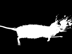 글렌, 당신의 호기심은.. 고양이를 죽이나?