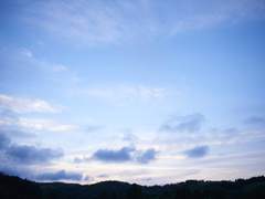 트라이브 다 그려보기~!