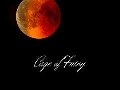 요정을 가둔 새장